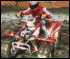 Quad Bike Trail King